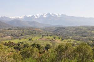 Foto de Villanueva de la Vera por Eduardo Sánchez-Moreno Villanueva de la Vera