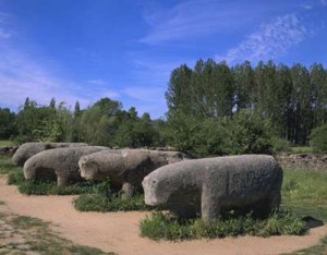 Verracos