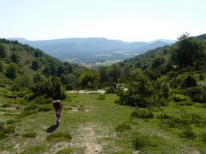 Senda del cartero (Apellániz-Arlucea)