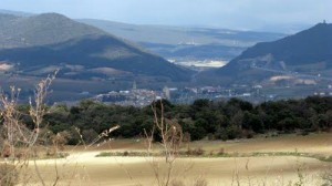 Foz de Arganzón