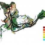 Map of the migration of modern humans out of Africa, based on mitochondrial DNA. Colored rings indicate thousand years before present. (Wikipedia)