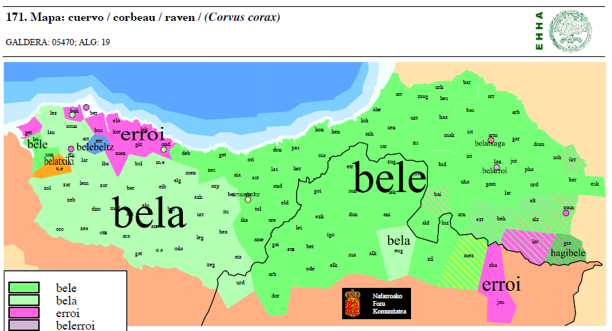 bele 'cuervo'