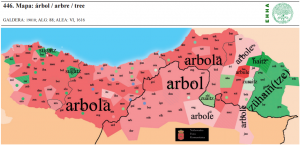 EHHA_446arbola